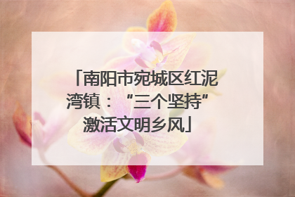 南阳市宛城区红泥湾镇：“三个坚持”激活文明乡风
