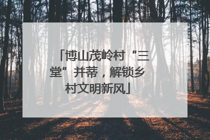 博山茂岭村“三堂”并蒂，解锁乡村文明新风