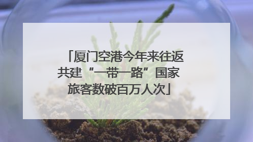 厦门空港今年来往返共建“一带一路”国家旅客数破百万人次