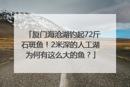 厦门海沧湖钓起72斤石斑鱼！2米深的人工湖为何有这么大的鱼？