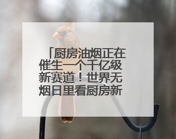 厨房油烟正在催生一个千亿级新赛道！世界无烟日里看厨房新变化