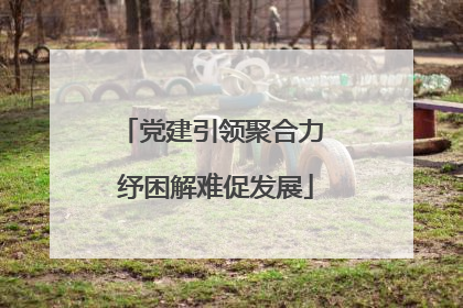 党建引领聚合力 纾困解难促发展