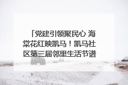 党建引领聚民心 海棠花红映凯马！凯马社区第三届邻里生活节谱写幸福新篇章
