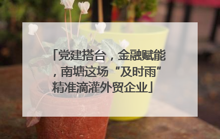 党建搭台，金融赋能，南塘这场“及时雨”精准滴灌外贸企业