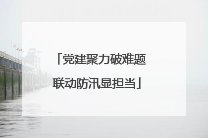 党建聚力破难题 联动防汛显担当