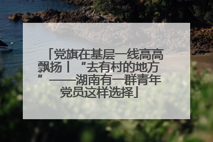 党旗在基层一线高高飘扬丨“去有村的地方”——湖南有一群青年党员这样选择