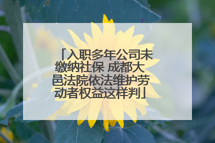入职多年公司未缴纳社保 成都大邑法院依法维护劳动者权益这样判