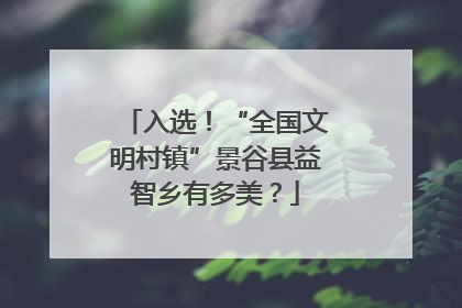 入选！“全国文明村镇”景谷县益智乡有多美？