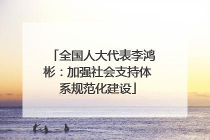 全国人大代表李鸿彬：加强社会支持体系规范化建设