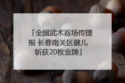 全国武术赛场传捷报 长春南关区健儿斩获20枚金牌