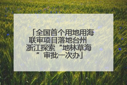全国首个用地用海联审项目落地台州 浙江探索“地林草海”审批一次办
