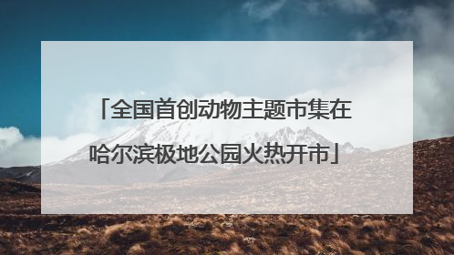 全国首创动物主题市集在哈尔滨极地公园火热开市