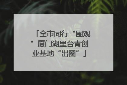 全市同行“围观”厦门湖里台青创业基地“出圈”