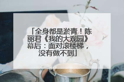 全身都是淤青！陈丽君《我的大观园》幕后：面对滚楼梯，没有做不到