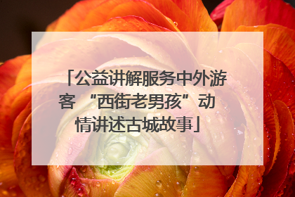 公益讲解服务中外游客 “西街老男孩”动情讲述古城故事