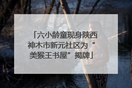 六小龄童现身陕西神木市新元社区为“美猴王书屋”揭牌