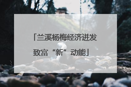 兰溪杨梅经济迸发致富“新”动能