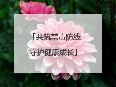 共筑禁毒防线 守护健康成长