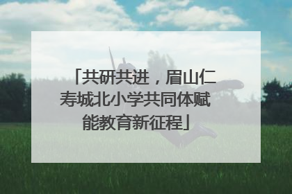 共研共进，眉山仁寿城北小学共同体赋能教育新征程