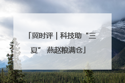 冀时评｜科技助“三夏” 燕赵粮满仓