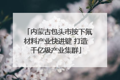 内蒙古包头市按下氟材料产业快进键 打造千亿级产业集群