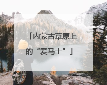内蒙古草原上的“爱马士”