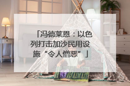 冯德莱恩：以色列打击加沙民用设施“令人憎恶”