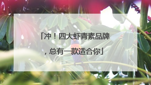 冲！四大虾青素品牌，总有一款适合你