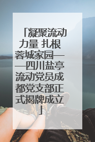 凝聚流动力量 扎根蓉城家园——四川盐亭流动党员成都党支部正式揭牌成立