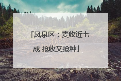凤泉区：麦收近七成 抢收又抢种