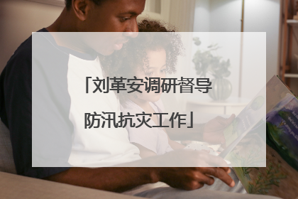 刘革安调研督导防汛抗灾工作