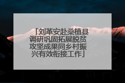刘革安赴桑植县调研巩固拓展脱贫攻坚成果同乡村振兴有效衔接工作