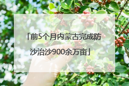 前5个月内蒙古完成防沙治沙900余万亩