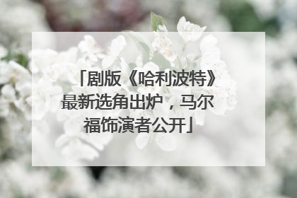 剧版《哈利波特》最新选角出炉，马尔福饰演者公开
