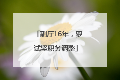 副厅16年，罗试坚职务调整