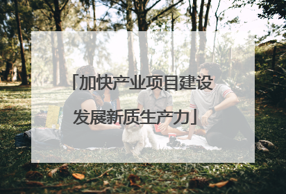 加快产业项目建设 发展新质生产力