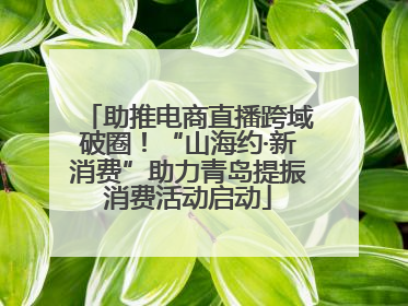 助推电商直播跨域破圈！“山海约·新消费”助力青岛提振消费活动启动