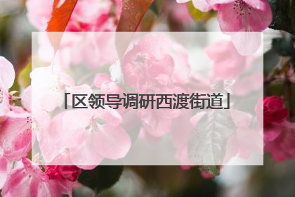 区领导调研西渡街道