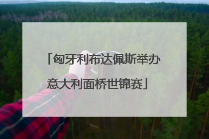 匈牙利布达佩斯举办意大利面桥世锦赛