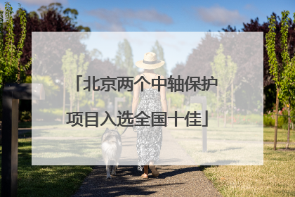 北京两个中轴保护项目入选全国十佳