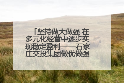 坚持做大做强 在多元化经营中逐步实现稳定盈利——石家庄交投集团做优做强典型报道之三