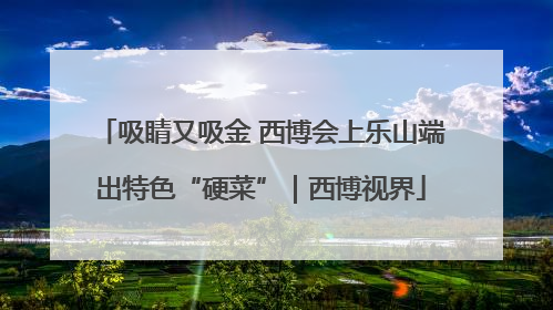 吸睛又吸金 西博会上乐山端出特色“硬菜”｜西博视界