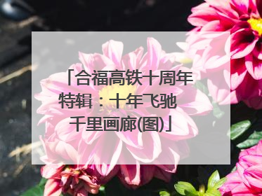 合福高铁十周年特辑：十年飞驰 千里画廊(图)