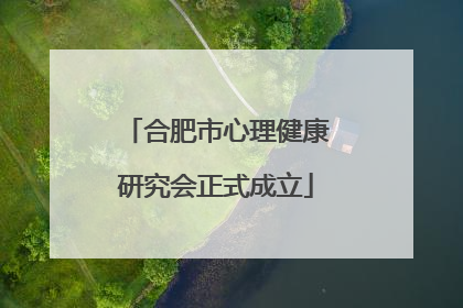 合肥市心理健康研究会正式成立