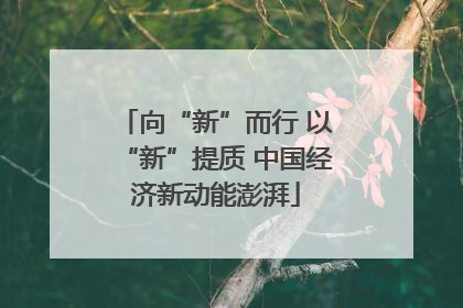 向“新”而行 以“新”提质 中国经济新动能澎湃