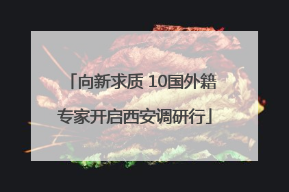 向新求质 10国外籍专家开启西安调研行