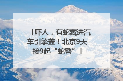 吓人，有蛇藏进汽车引擎盖！北京9天接9起“蛇警”