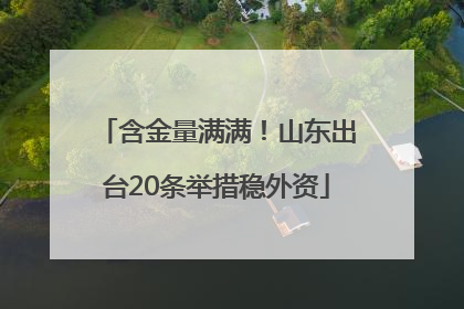 含金量满满！山东出台20条举措稳外资
