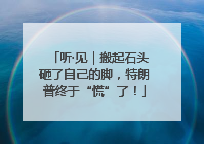 听·见｜搬起石头砸了自己的脚，特朗普终于“慌”了！