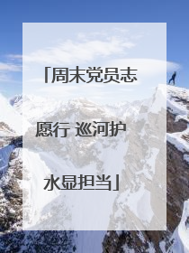 周末党员志愿行 巡河护水显担当